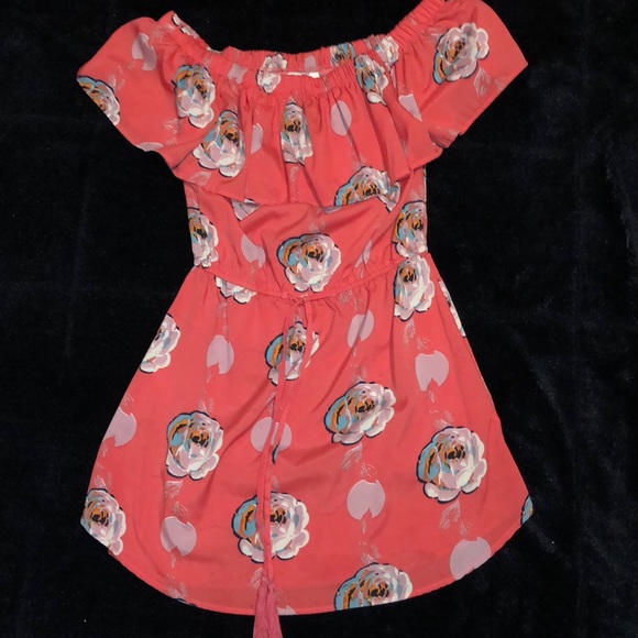 Hint of Blush Dress - Picture 1 of 1